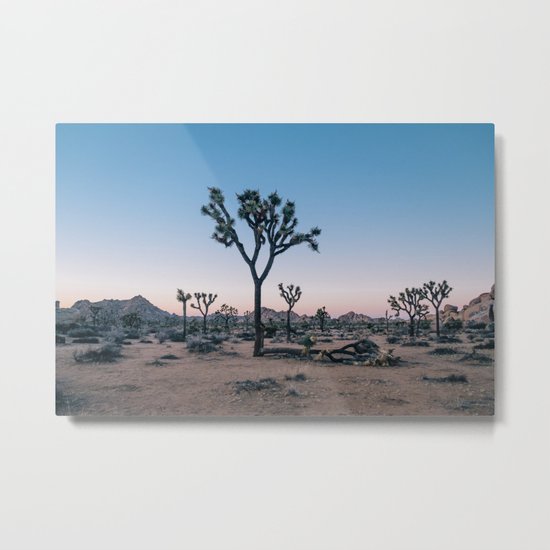 Joshua Tree at Sunset Metal Print