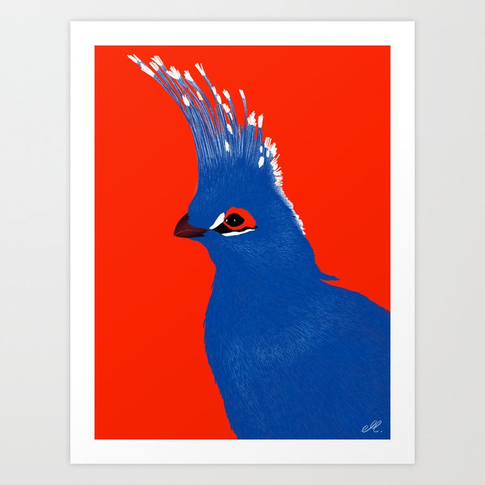 Turako red and blue Art Print