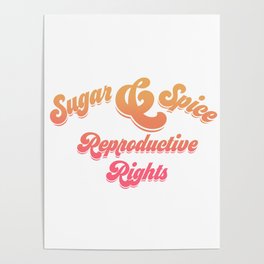 sugar and spice and reproductive rights Poster