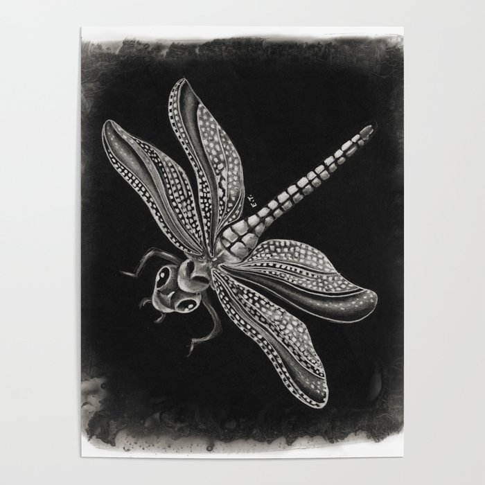 Dragonfly Black White Fine Art Poster