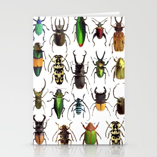 Beetles Collage Stationery Cards