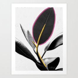 Pakipot (Playing Coy) II - Tropical Ficus Elastica Modern Mixed Media Photography Illustration Art Print
