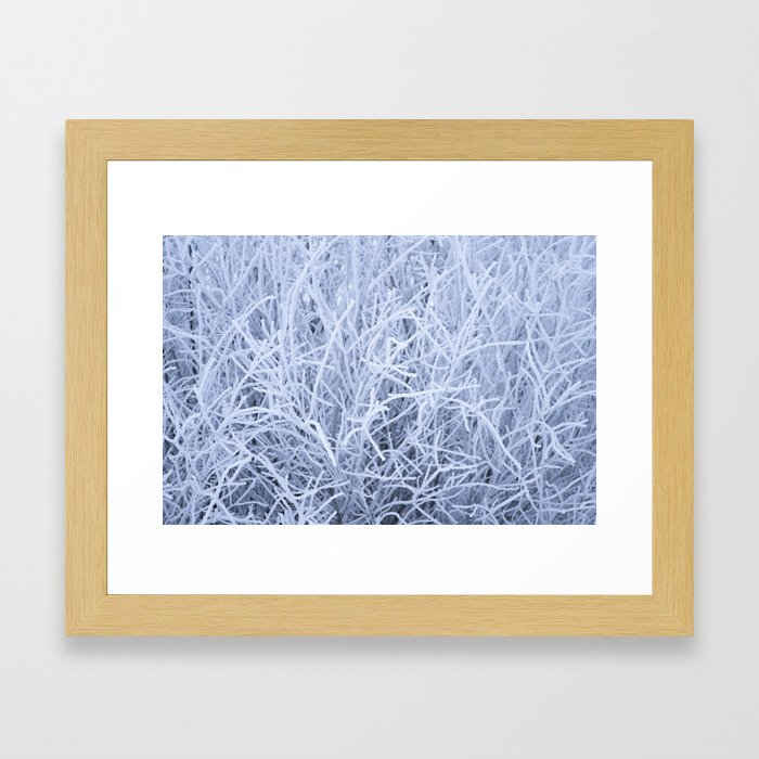 Grass covered in winter frost Framed Art Print