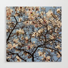 Pattern of magnolia branches | Spring floral background Wood Wall Art