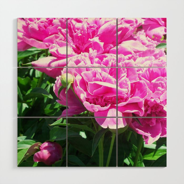 Peony Sky Wood Wall Art