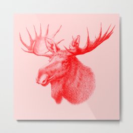 Moose red Metal Print | Graphite, Elch, Crown, Animalportrait, Elg, Moose, Pink, Elk, Popart, Drawing 