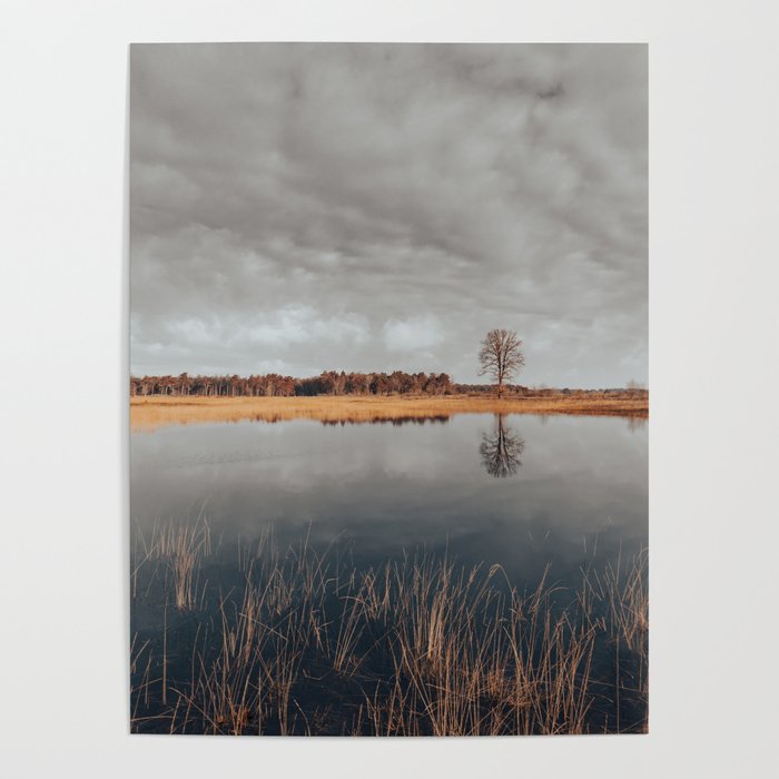 Lonely tree across the lake Poster