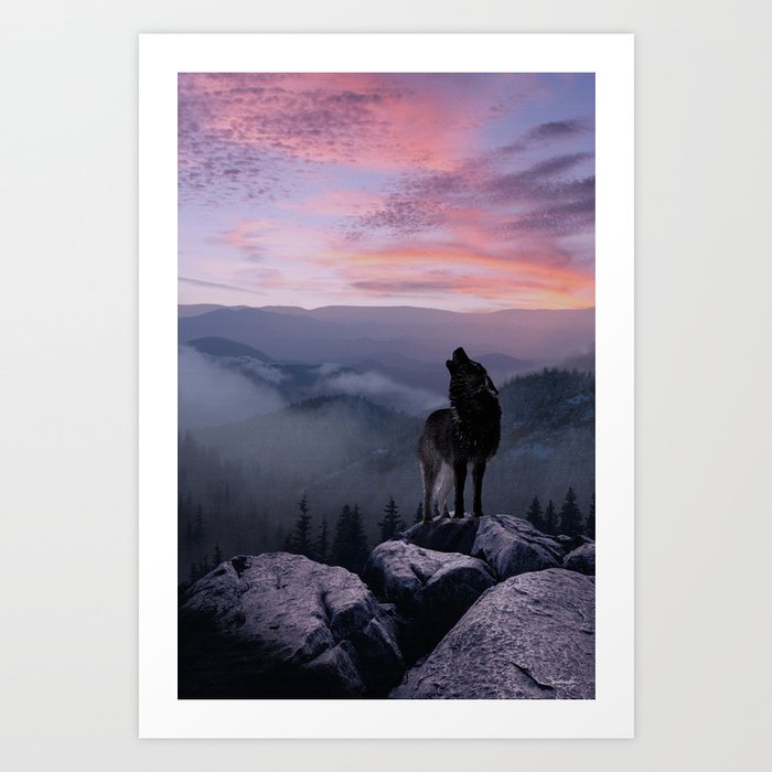 Lone Wolf at Sunset Ridge Art Print
