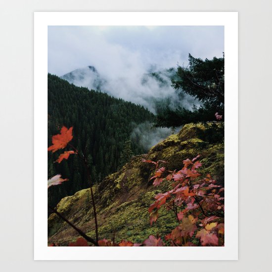 Salmon-Huckleberry Wilderness Art Print