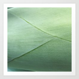 Agave Leaf Art Print