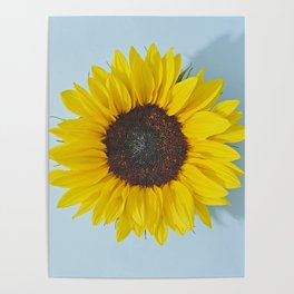 Prints for Ukraine - Sunflower Poster