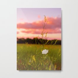 Wildflower 2 Metal Print