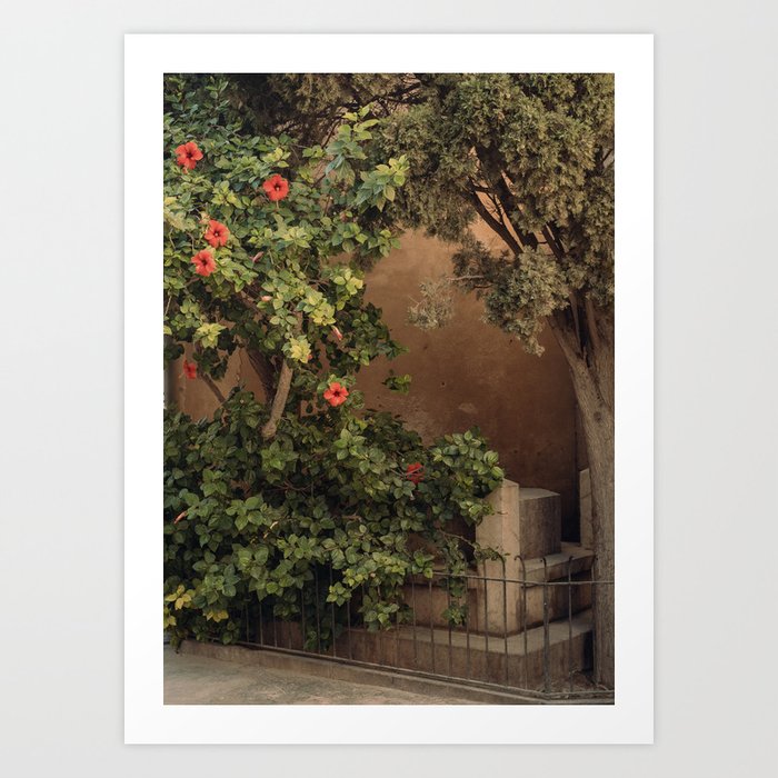 House Facade Botanical  Art Print