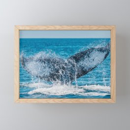 Humpback Whale Tail, Ocean Photography, Seascape Print Framed Mini Art Print