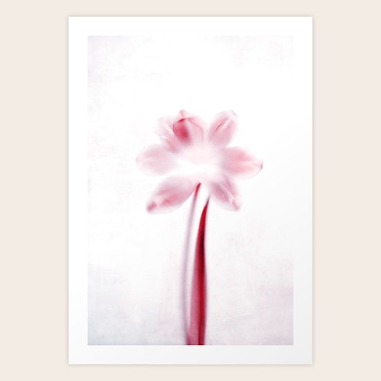 hidden Art Print