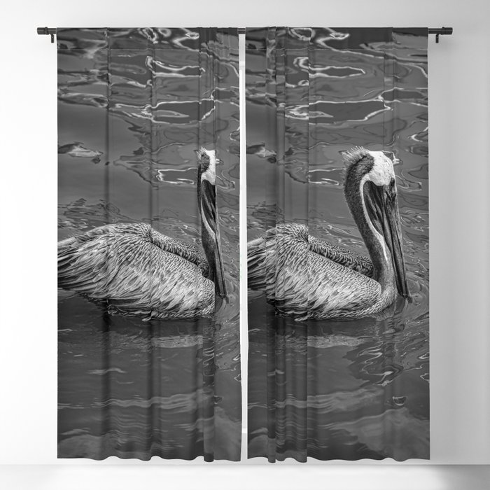 Brown Pelican B & W 0581 - Cedar Key, Florida Blackout Curtain