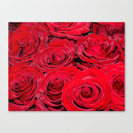 Bed of red roses- Photography pattern of red rose Canvas Print