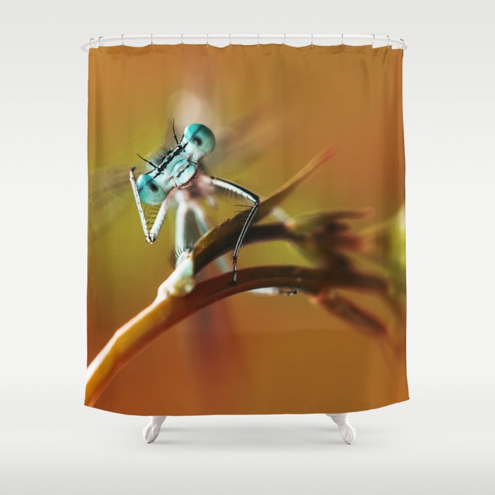 Blue dragonfly on pink flower Shower Curtain