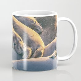 Sleeping Seals Coffee Mug