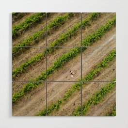 Mama kissing baby in the grape vines - Aerial Drone Art Wood Wall Art
