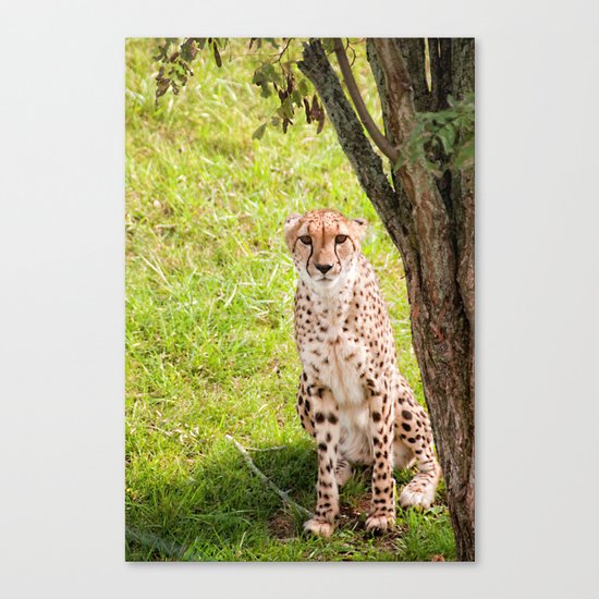 Hey Kitty Canvas Print