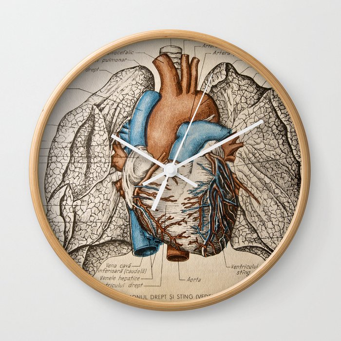 Vintage anatomy illustration Wall Clock