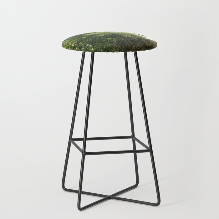 ENCHANTED TREE TUNNEL Bar Stool