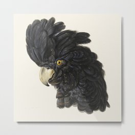 Cockatoo Portrait by Aert Schouman Metal Print | Animal, Vintage, Parrot, White, Exotic, Nature, Art, Junior, Painting, Humour 