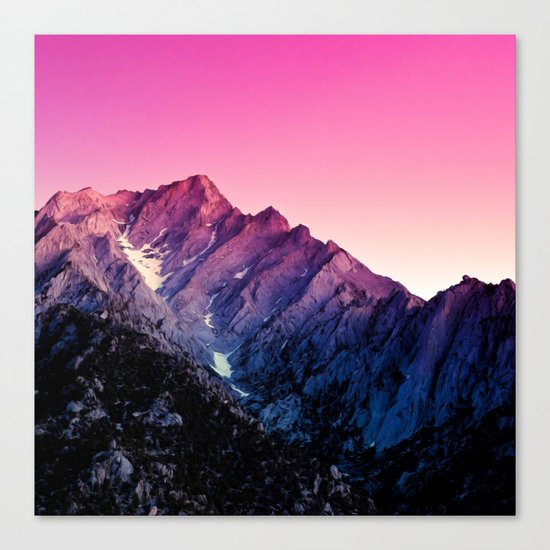 In a Wonderland Canvas Print
