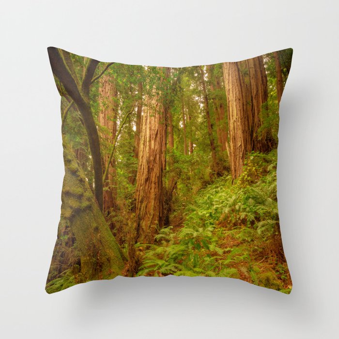 Redwoods Regional II Throw Pillow