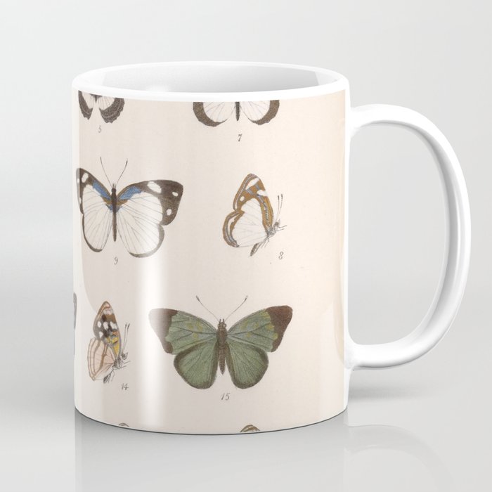 Vintage Hand Drawn Scientific Illustration Insects Butterfly Anatomy Colorful Wings Coffee Mug