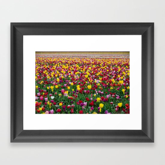Fields of Color II, Woodburn Tulip Festival Framed Art Print