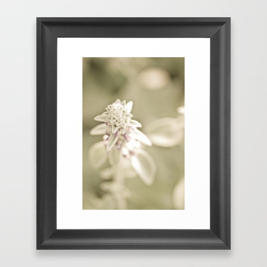 Reaching Up Framed Art Print
