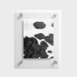 Black and White Cowhide Animal Print Floating Acrylic Print