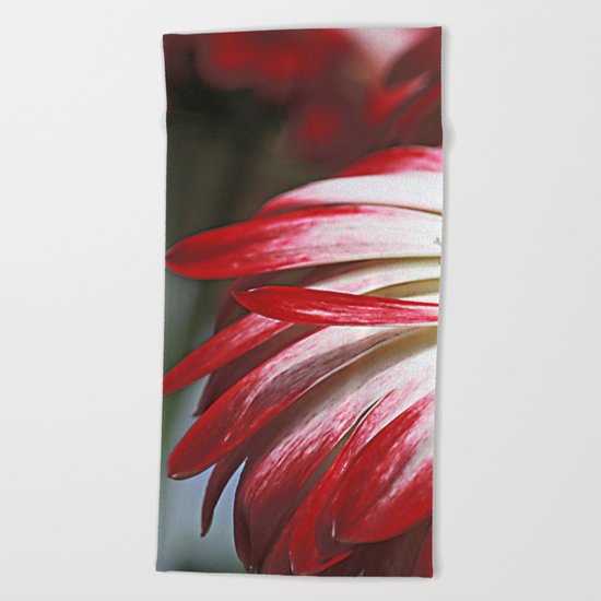 Gerbera mystery Beach Towel