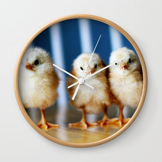 buckeye chicks Wall Clock