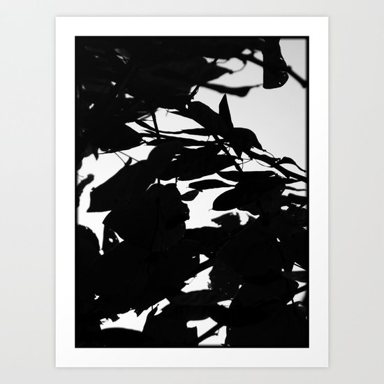 Dark Fall Leaves Art Print