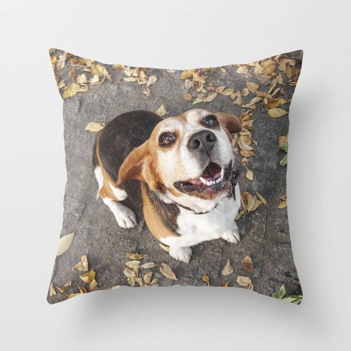 Beagle Throw Pillow by Renata s Photobox Society6