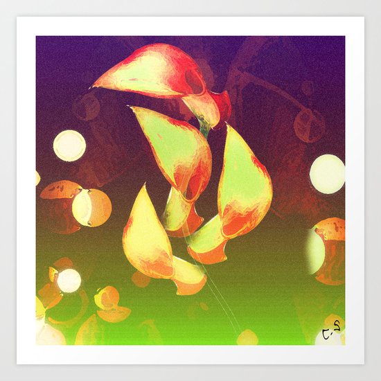 " Zantedeschia " Art Print