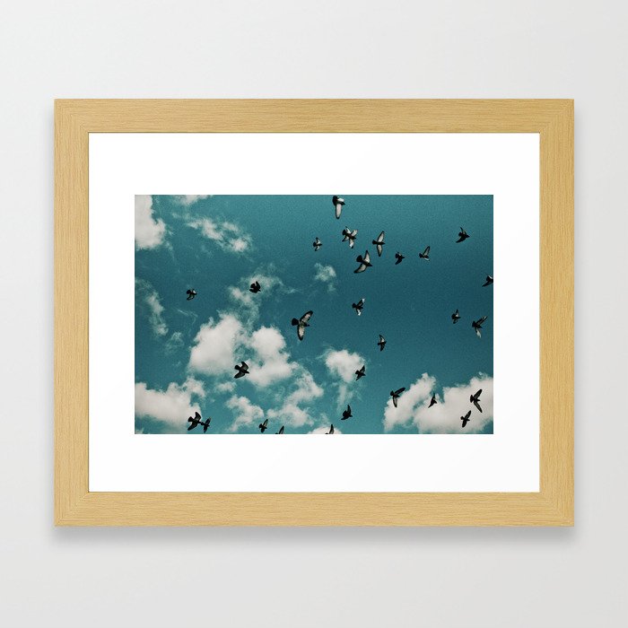 Birds 005 Framed Art Print
