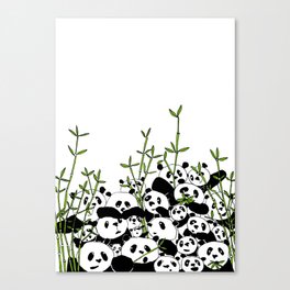 A Pandemonium of Pandas  Canvas Print