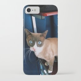 Blue Eyed Cat iPhone Case
