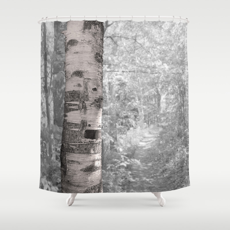 Birch Tree In Forest Shower Curtain By Perkinsdesigns Society6
