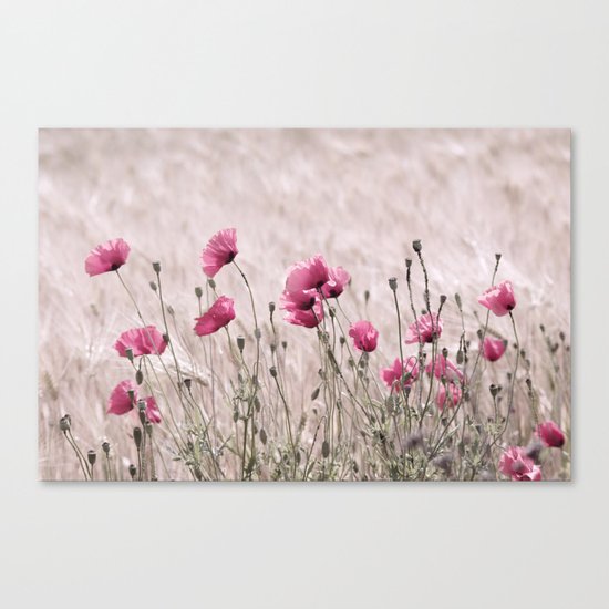Poppy Pastell Pink Canvas Print