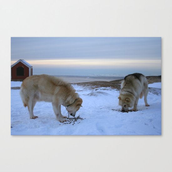 Ilulissat Greenland: The land of dog sleds and Midnight Sun Canvas Print