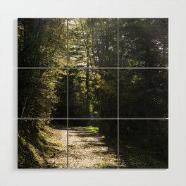Fall in the forest Wood Wall Art