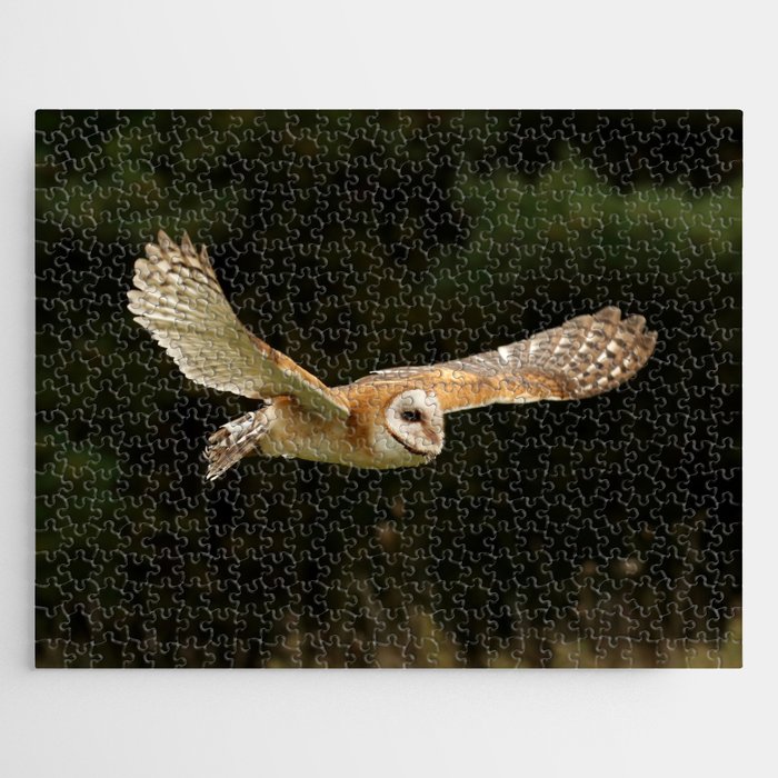 Beautiful barn owl Jigsaw Puzzle