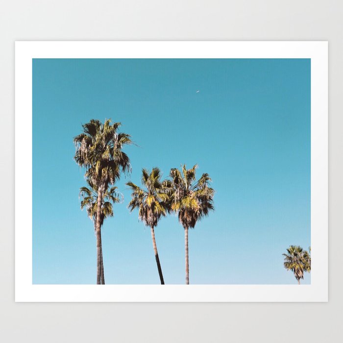 Venice Beach Palm Trees Art Print By Chloepow Society6