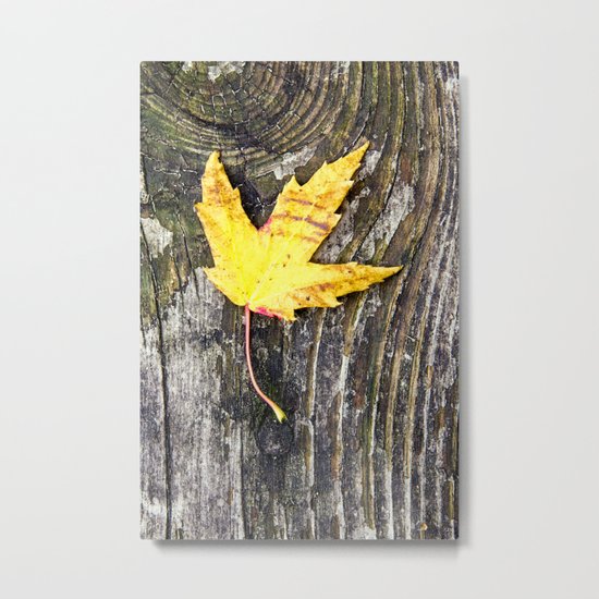 a leaf on a board Metal Print