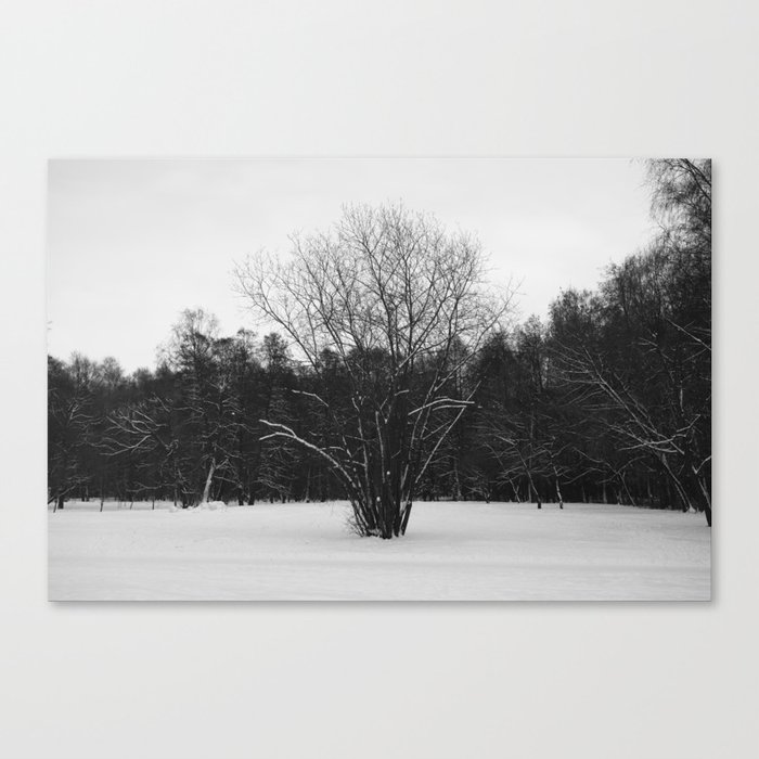 Lone tree Canvas Print